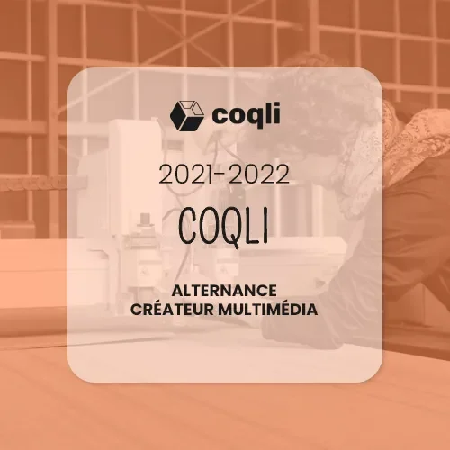 experience-pro_Coqli