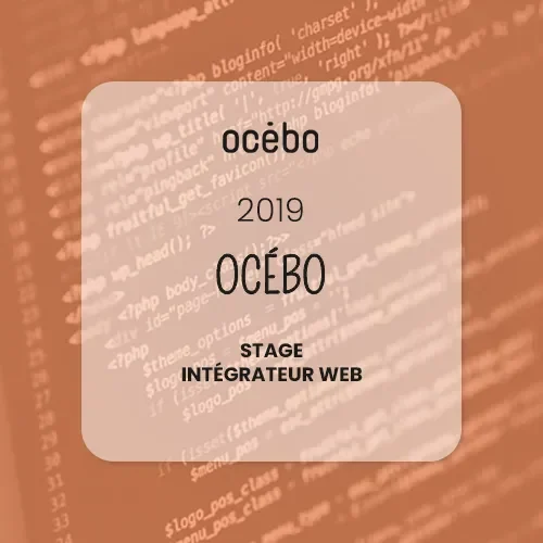 experience-pro_ocebo